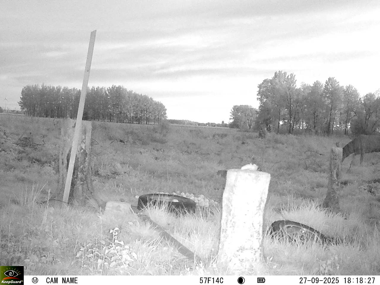 Bild: 1758997851650498594_09270599.jpg