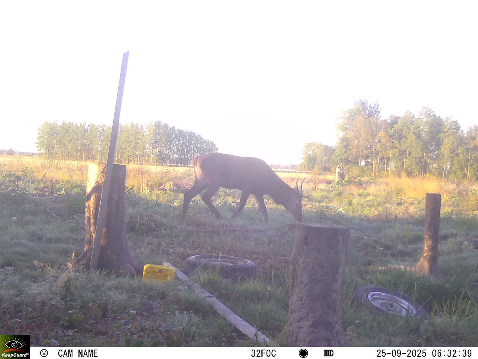 Bild: 1758998925497650805_09250571.jpg