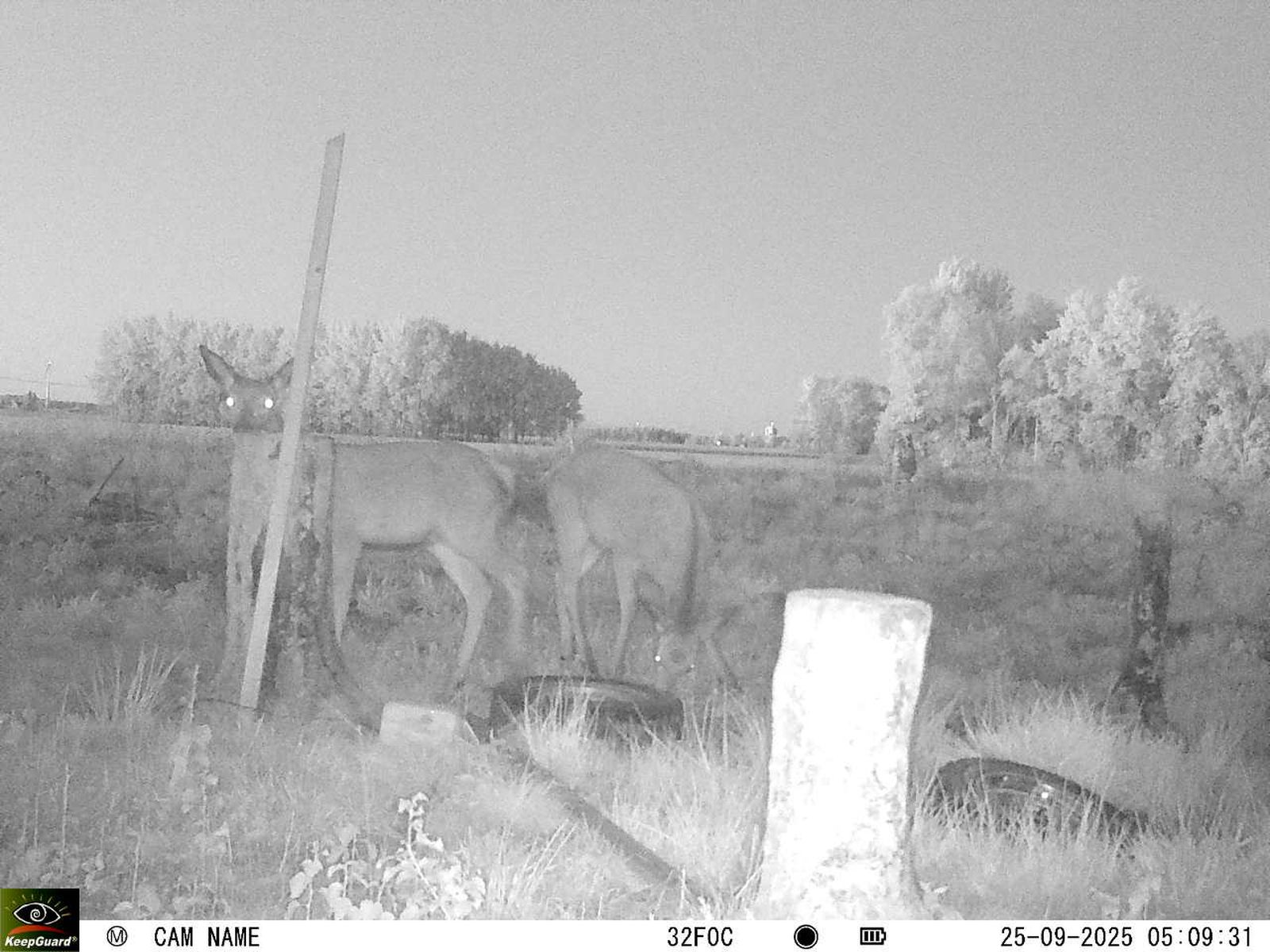 Bild: 1758998946411267409_09250570.jpg