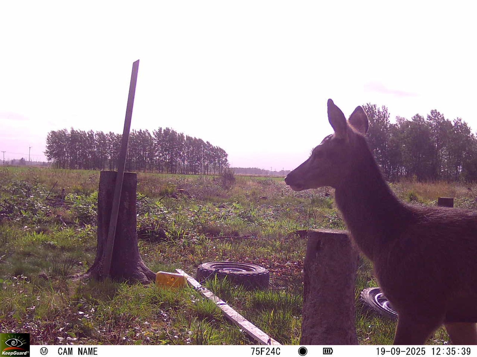 Bild: 1758999102704888834_09190493.jpg