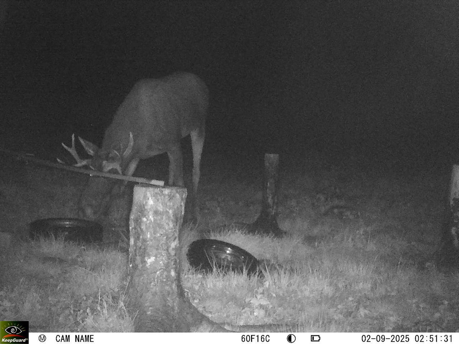 Bild: 1758999245863721068_09020360.jpg