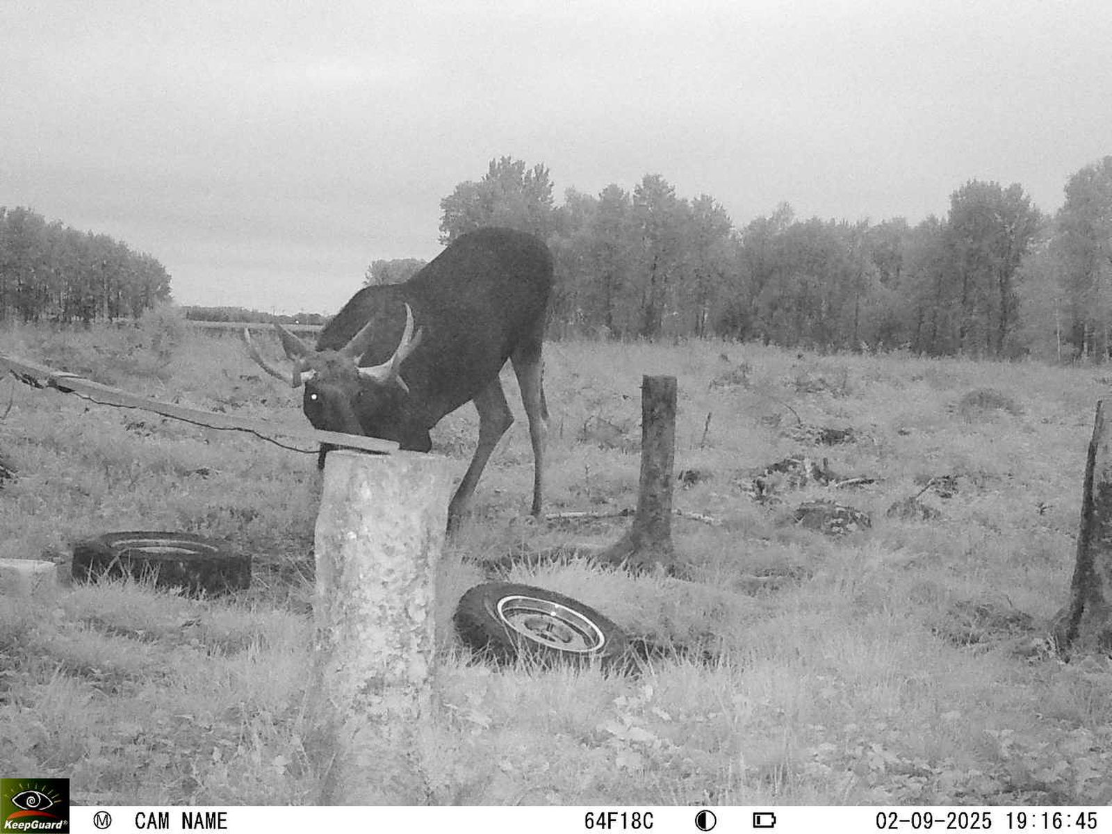 Bild: 1758999348027935458_09020367.jpg