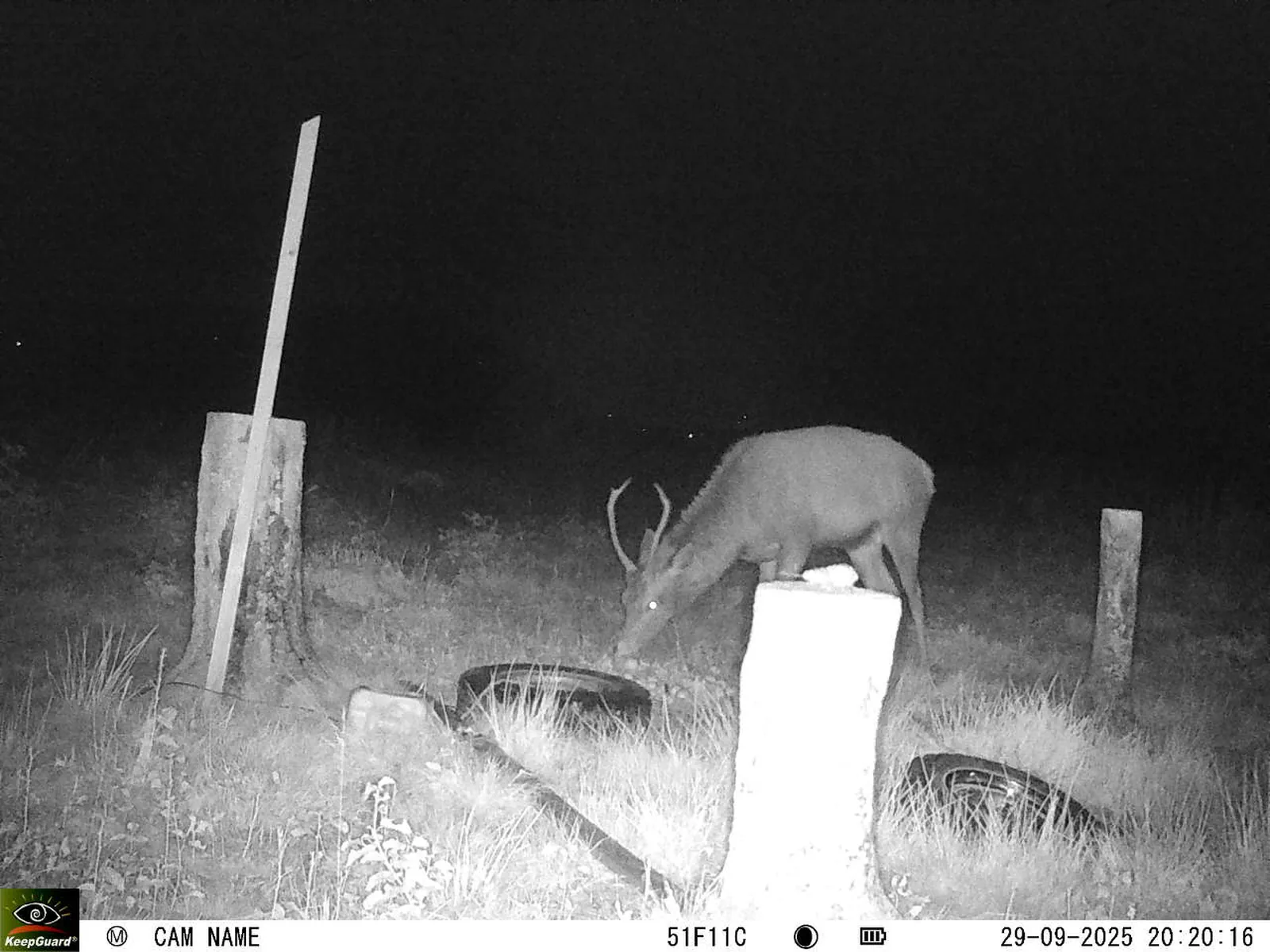 Bild: 1759175836395101715_09290628.webp