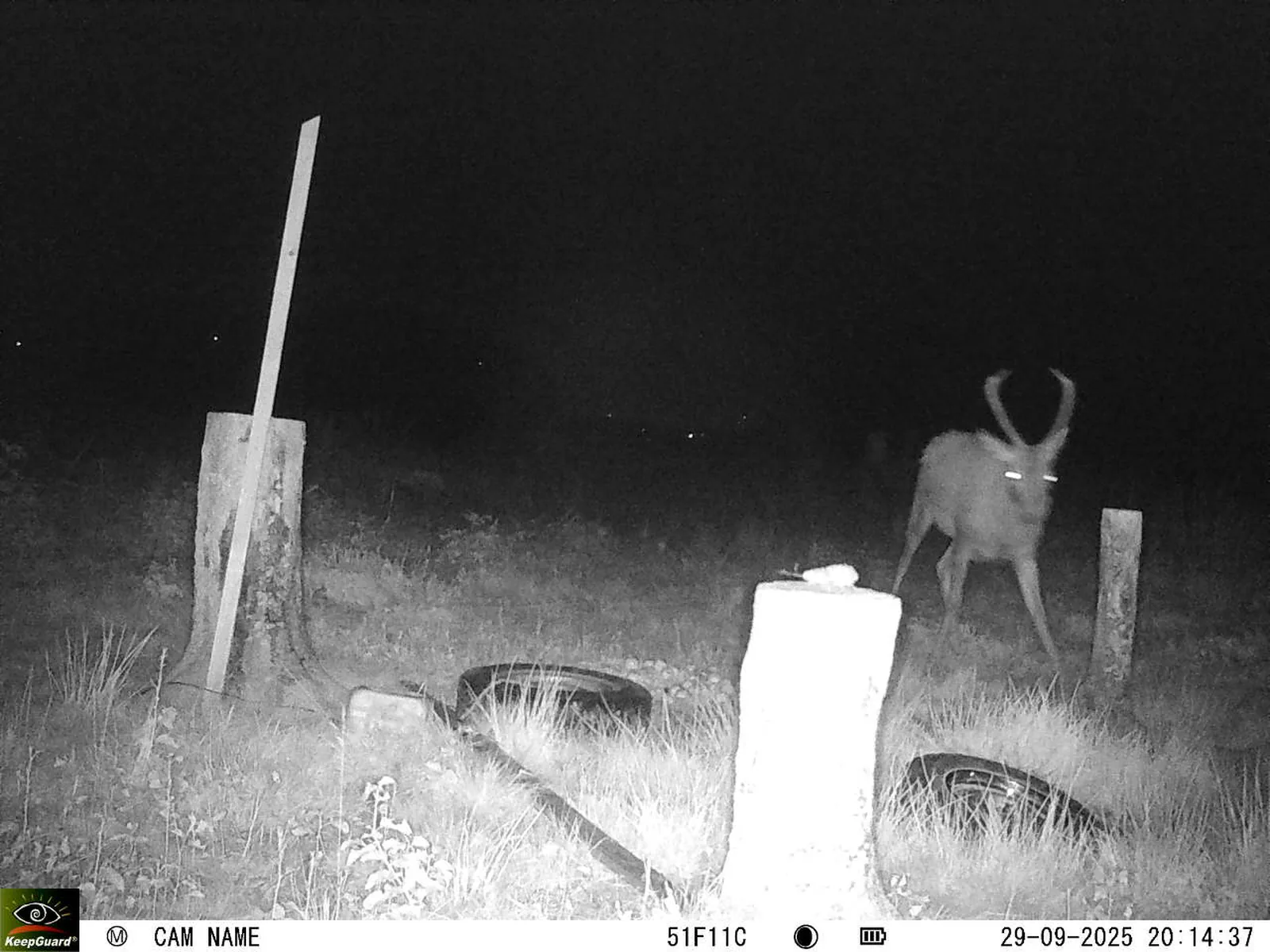 Bild: 1759175866739789330_09290627.webp