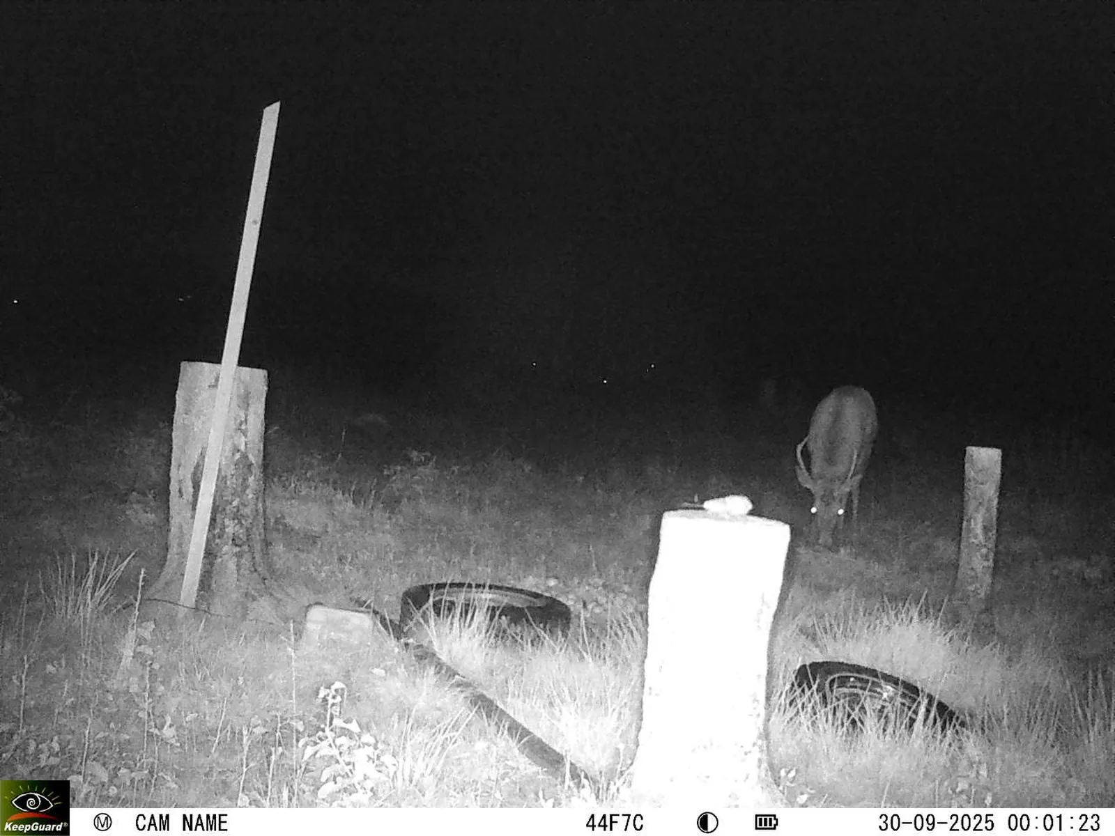 Bild: 1759187878555678345_09300630.webp