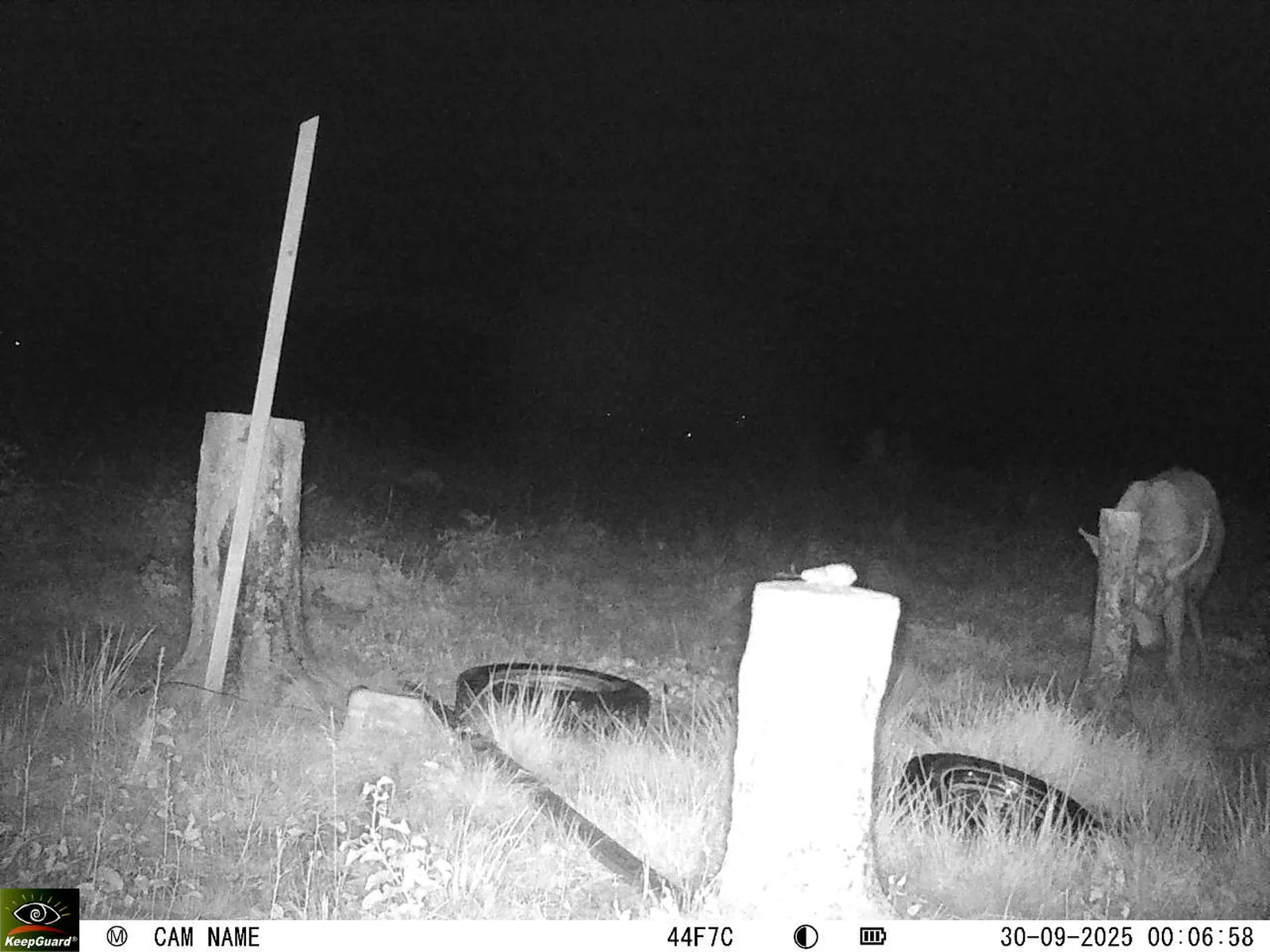 Bild: 1759187979378907842_09300631.webp