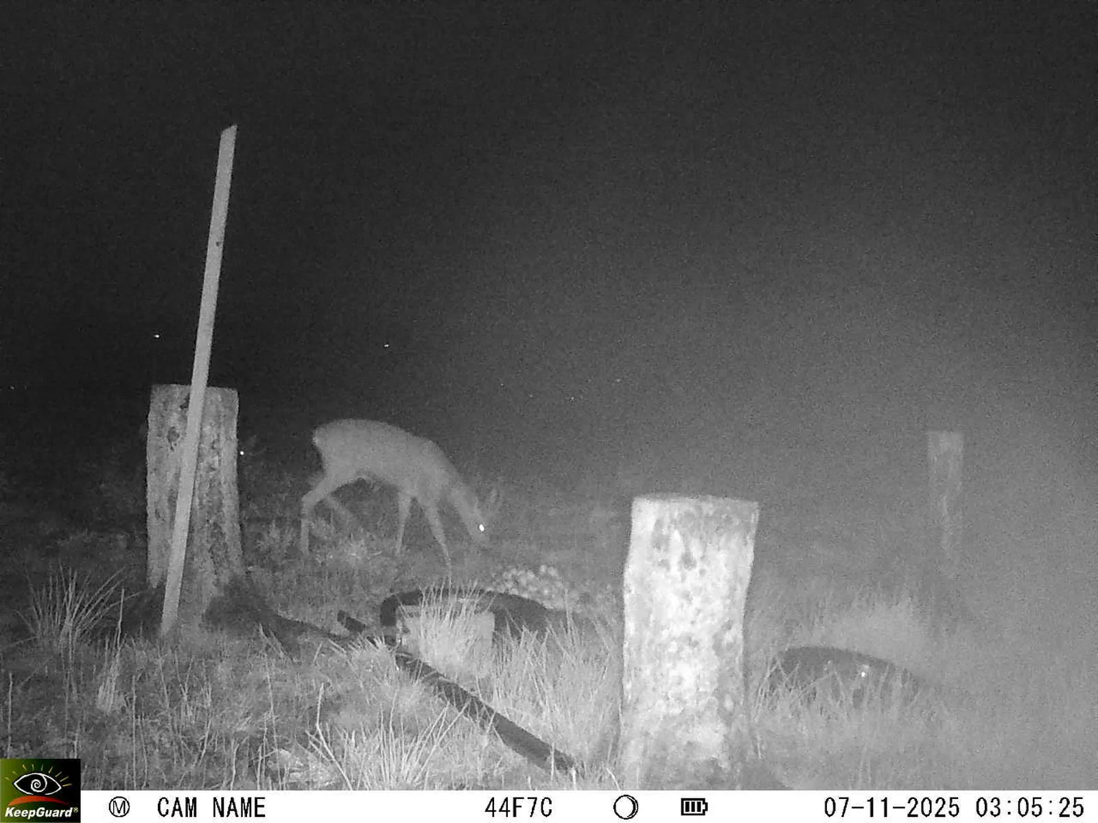 Bild: 1762477570773464185_11070004.webp