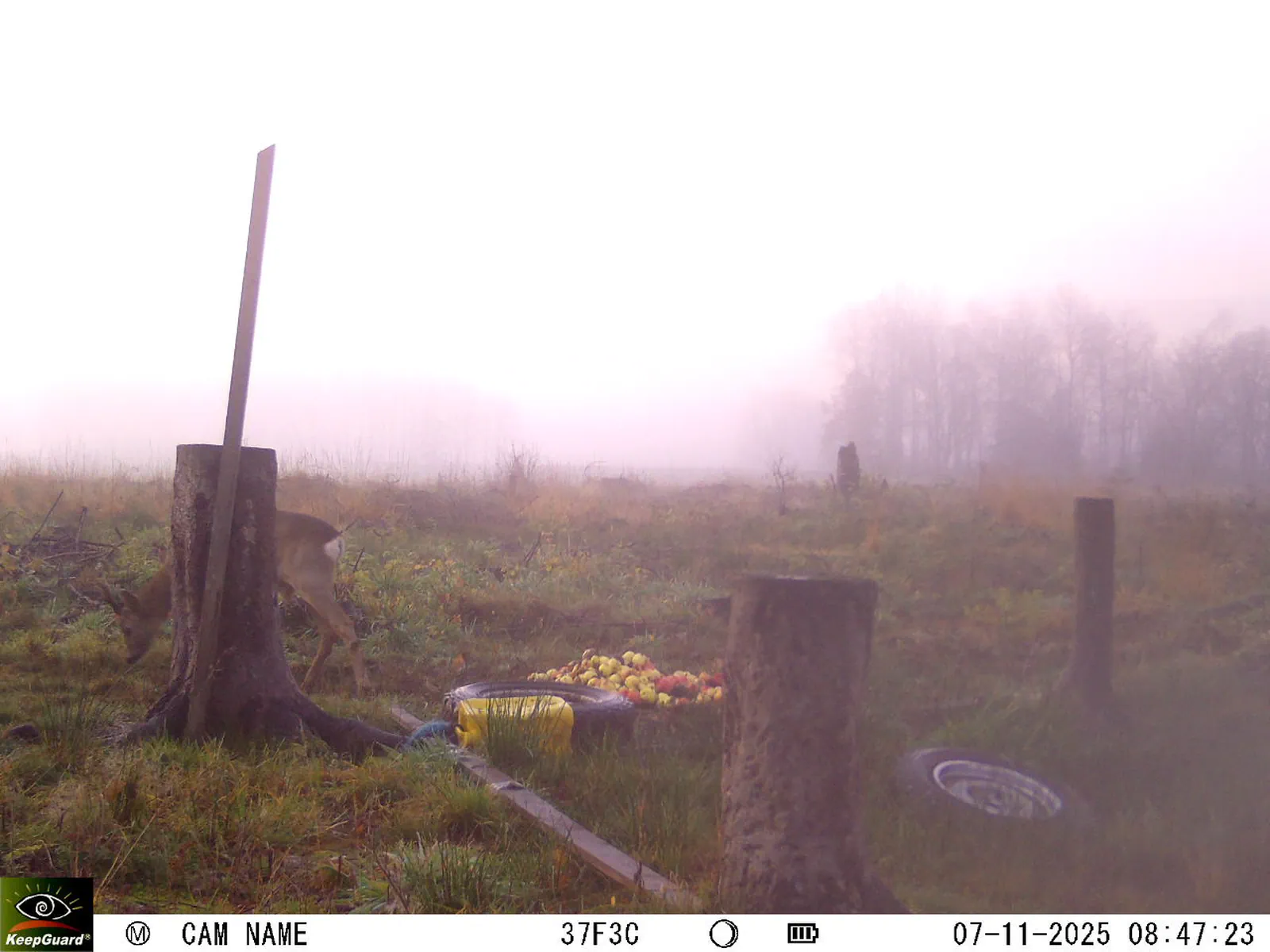 Bild: 1762498089831345710_11070006.webp