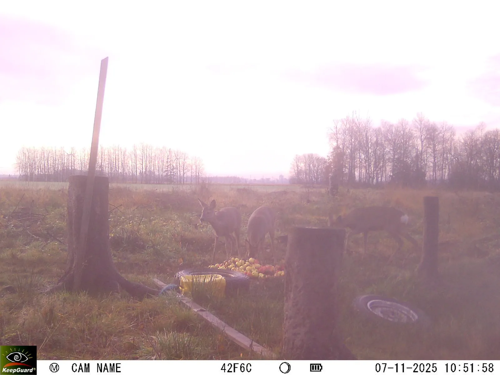 Bild: 1762505572510753644_11070007.webp