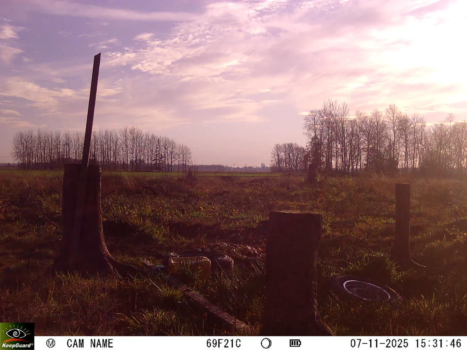 Bild: 1762522352483474965_11070008.webp