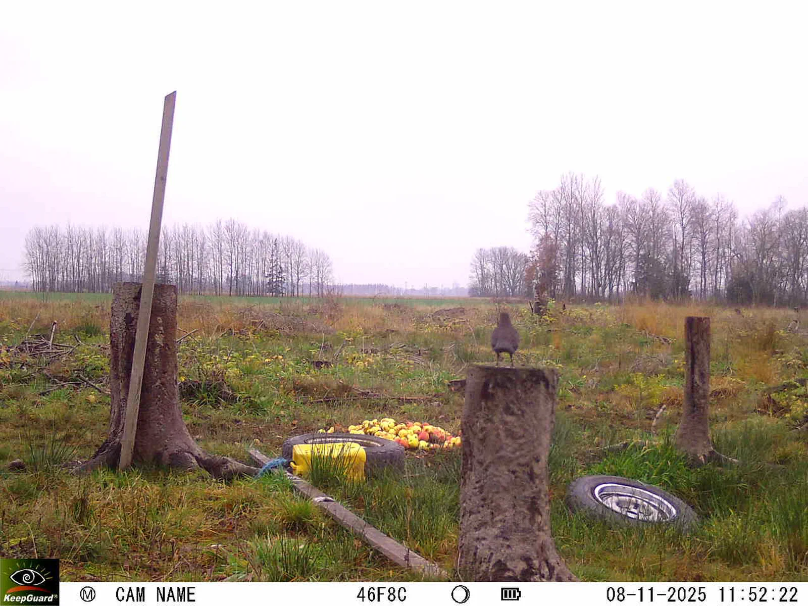 Bild: 1762595586986231406_11080014.webp