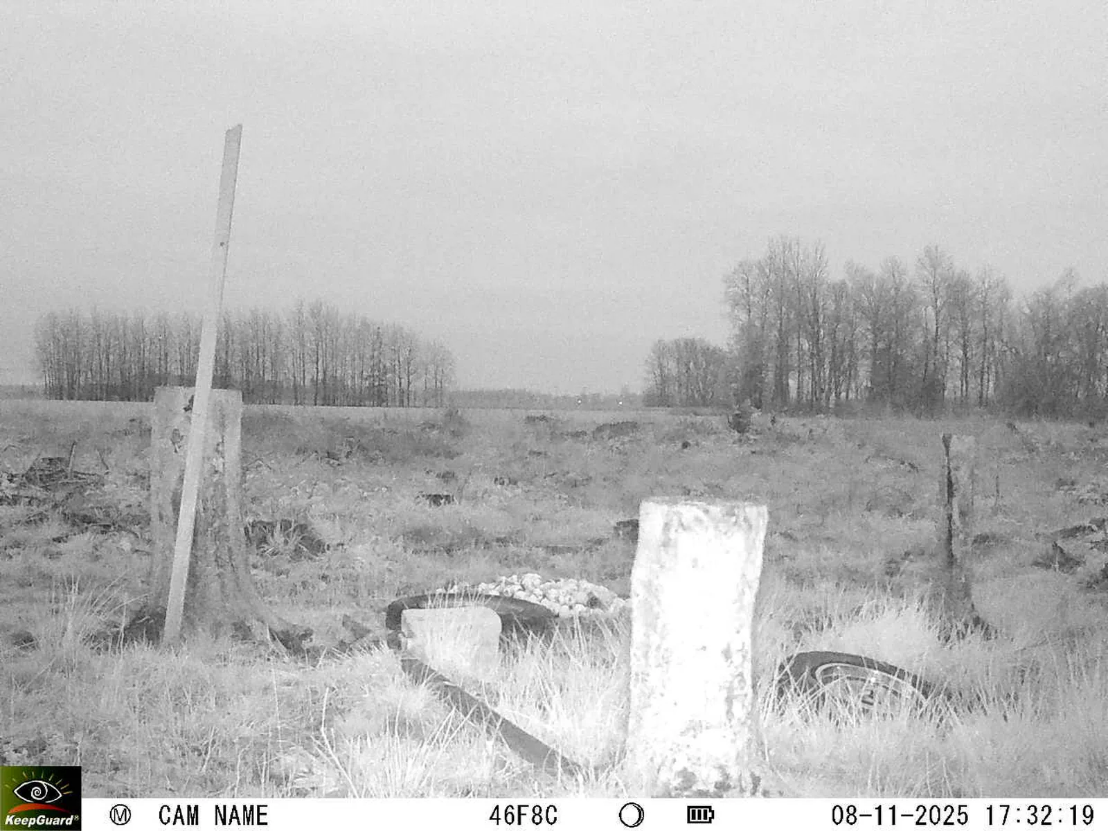 Bild: 1762615983874762462_11080015.webp