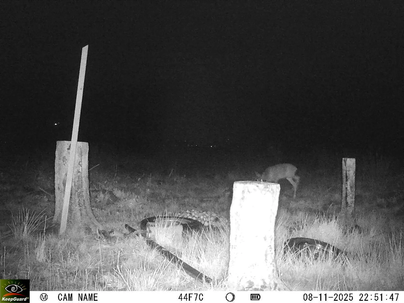 Bild: 1762635152761836387_11080017.webp