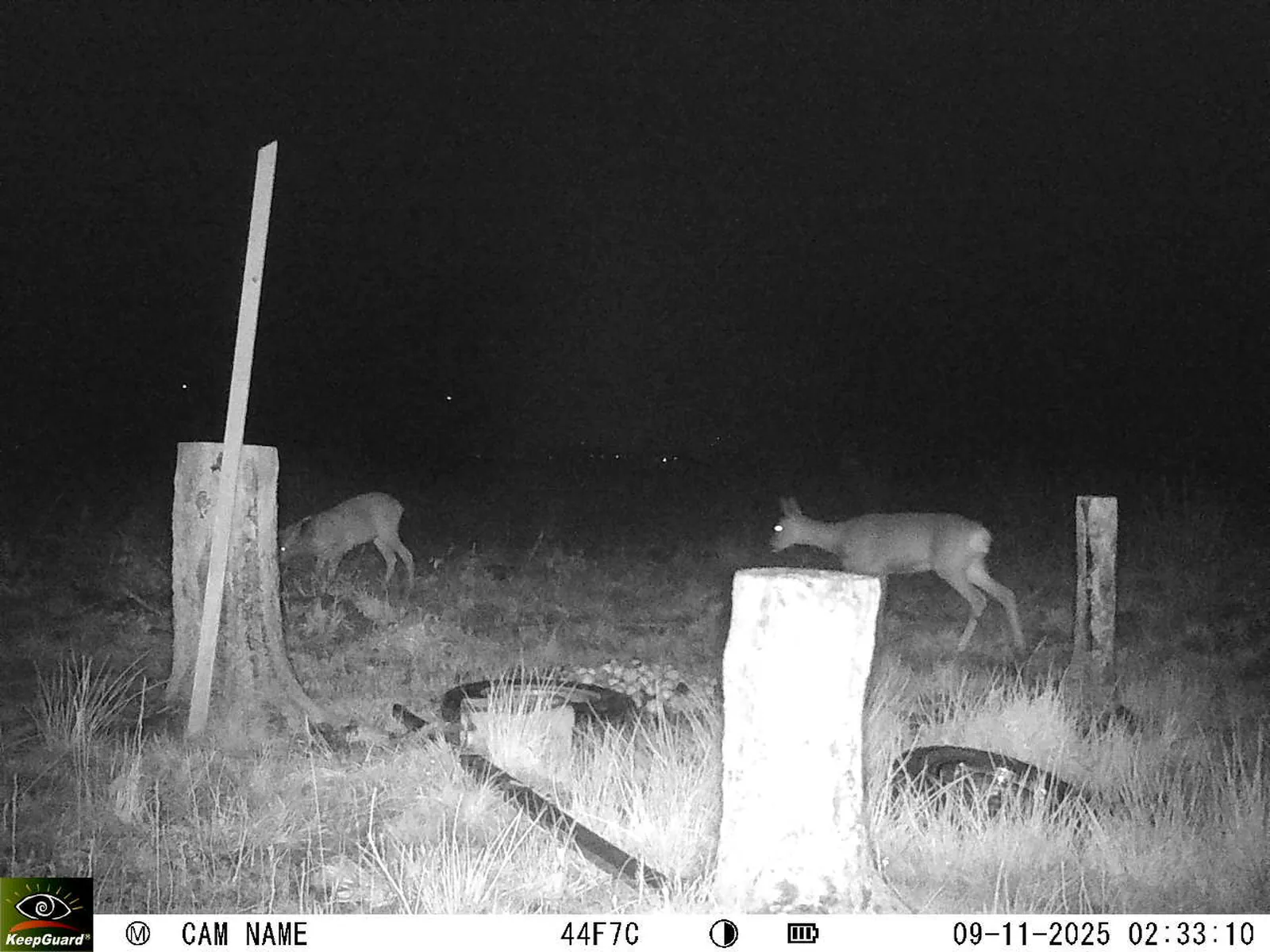 Bild: 1762648434735758497_11090024.webp