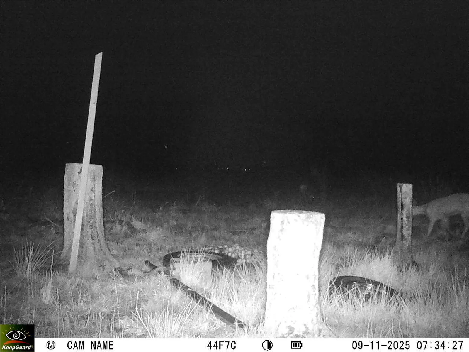 Bild: 1762666512090971144_11090035.webp