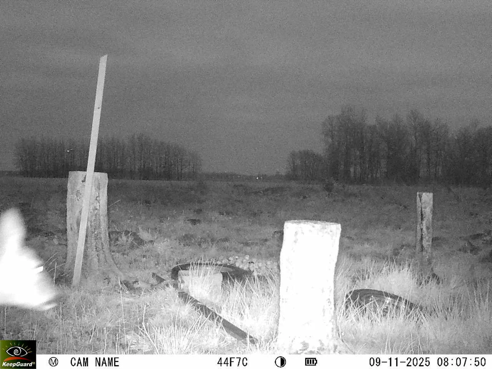 Bild: 1762668515175653900_11090037.webp