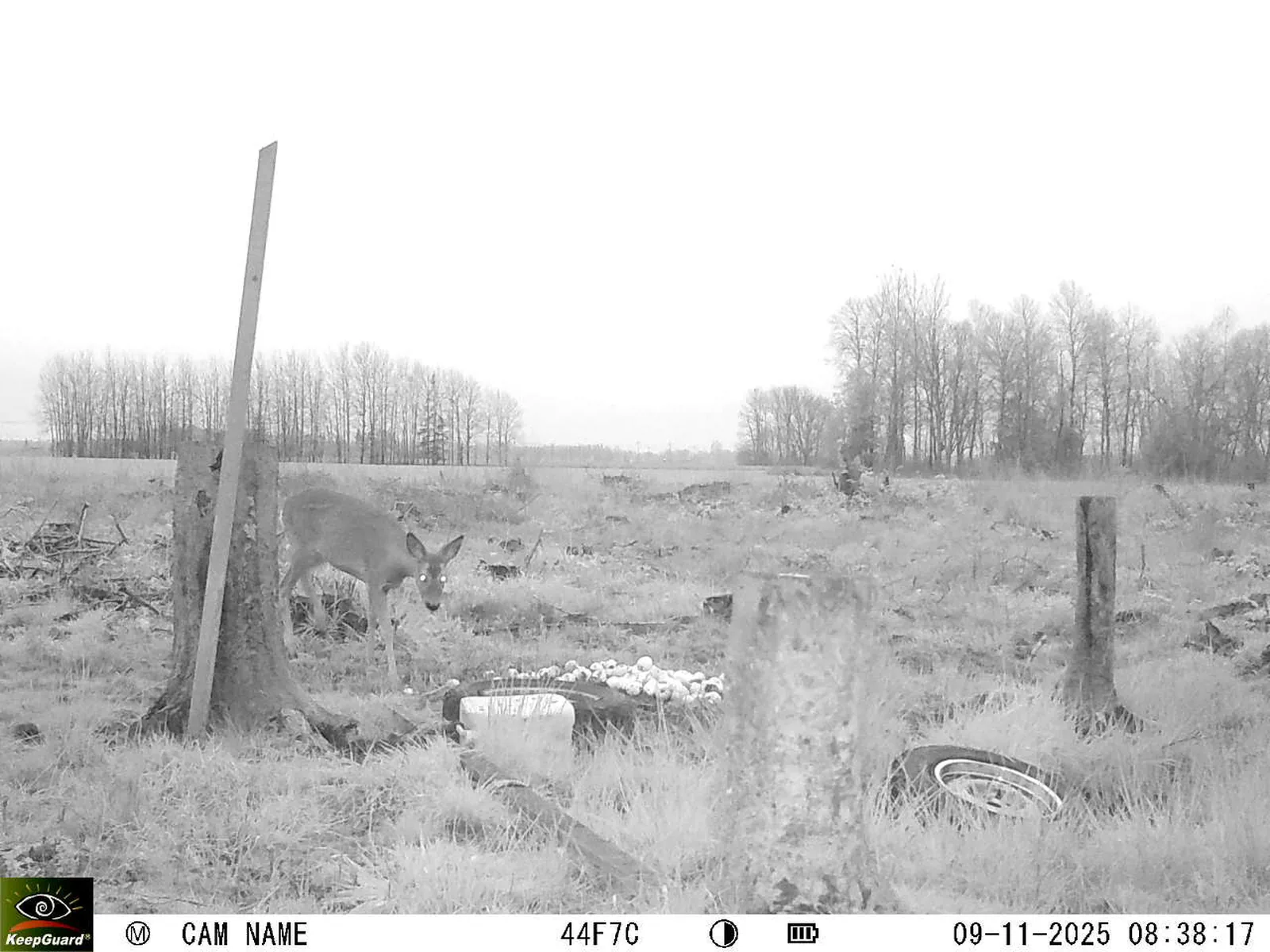 Bild: 1762670343016650210_11090039.webp