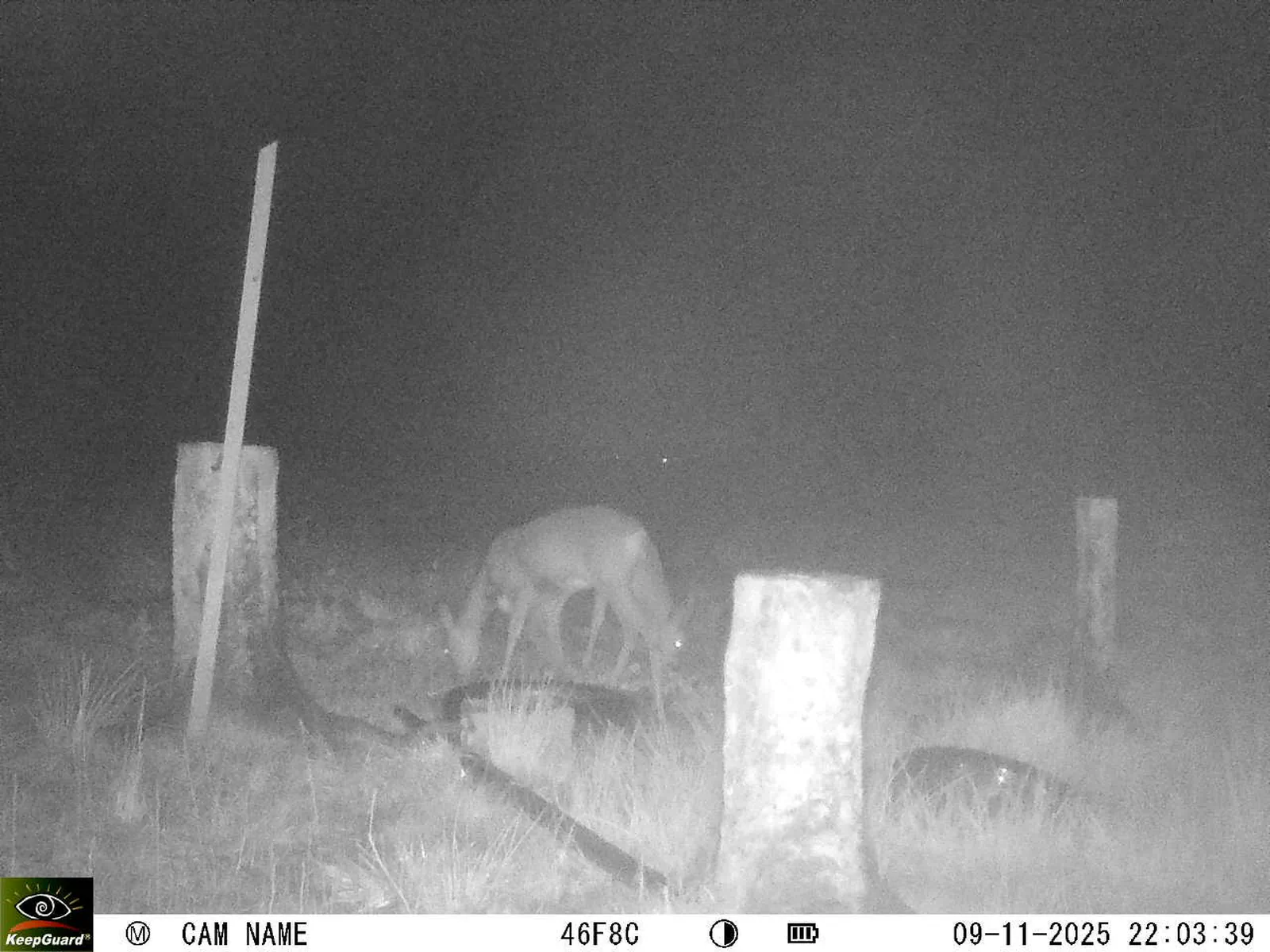 Bild: 1762718665737079521_11090045.webp