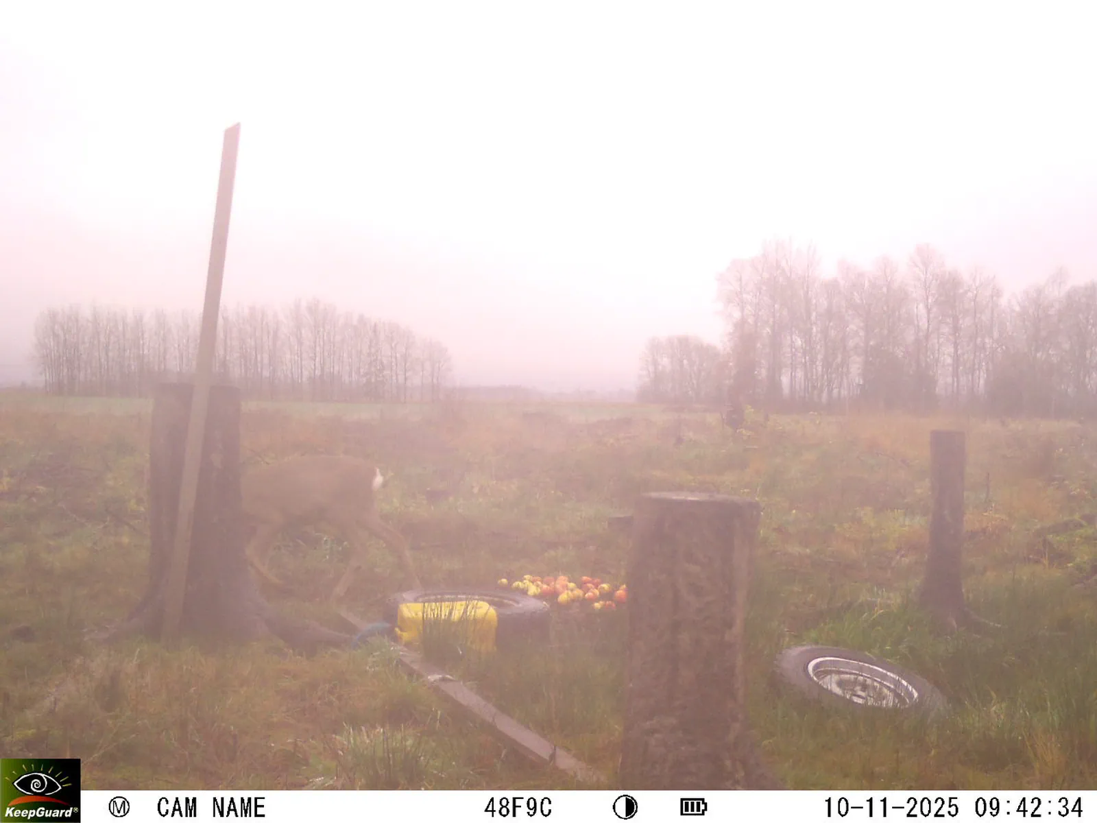 Bild: 1762760600306272822_11100051.webp