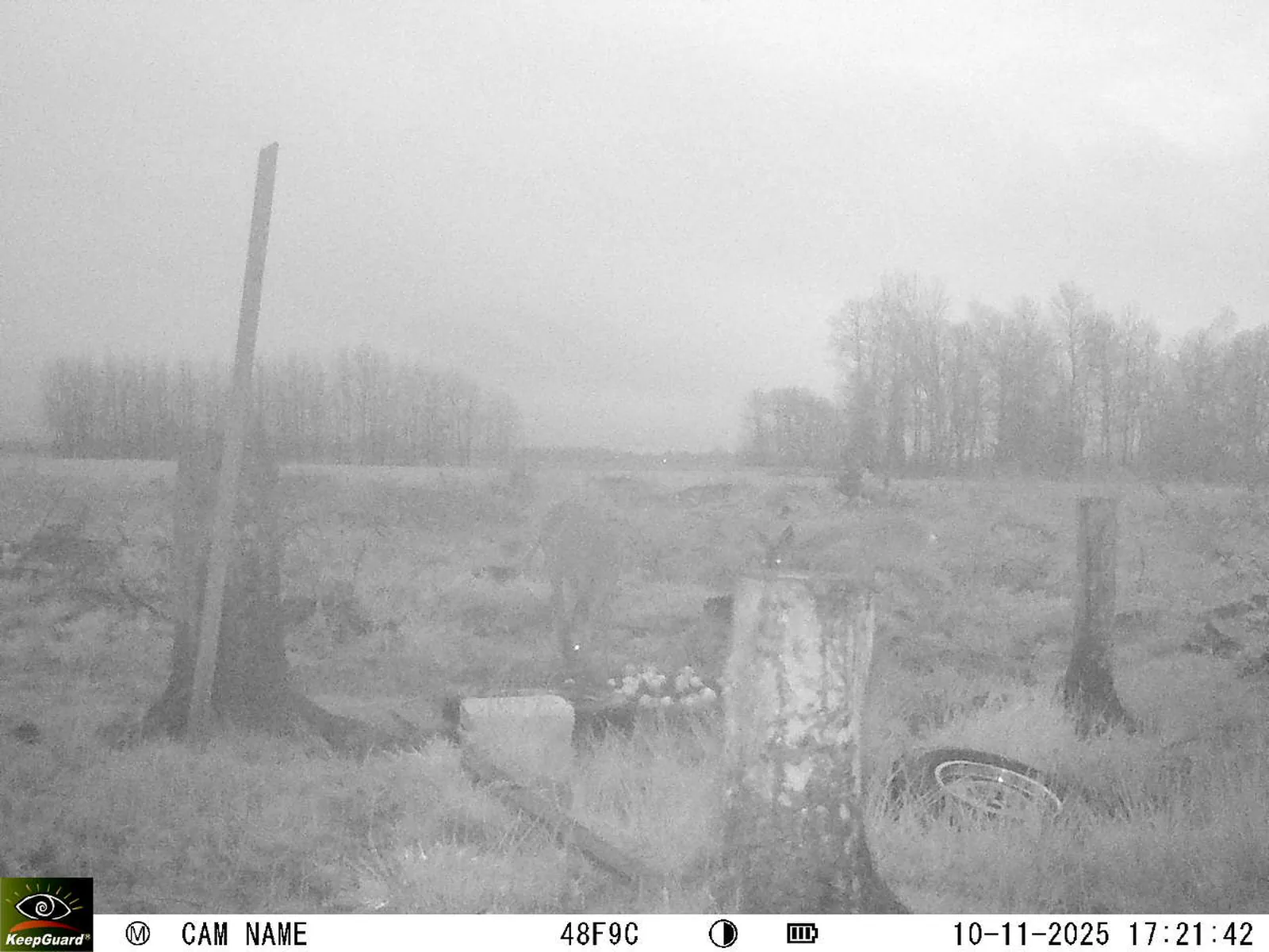 Bild: 1762788150601867771_11100053.webp