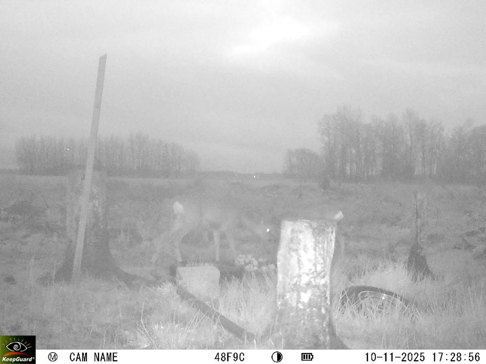 Bild: 1762788582470989377_11100054.webp