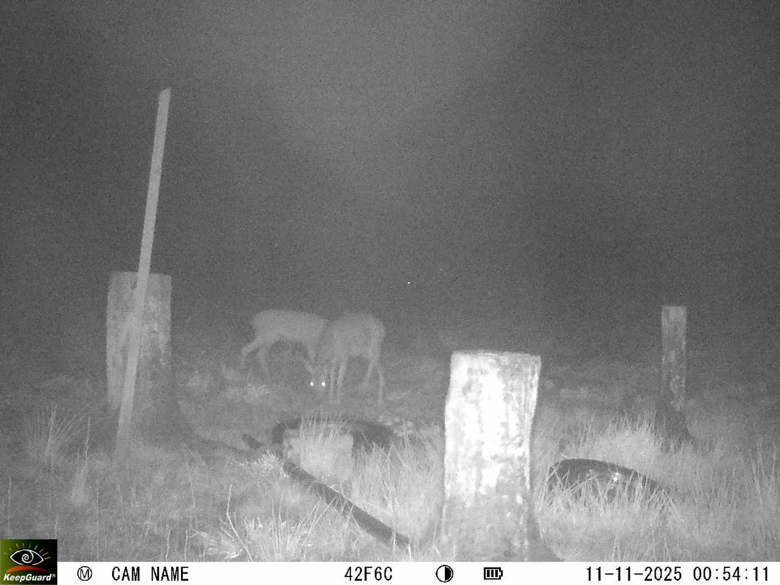 Bild: 1762815297937844855_11110057.webp