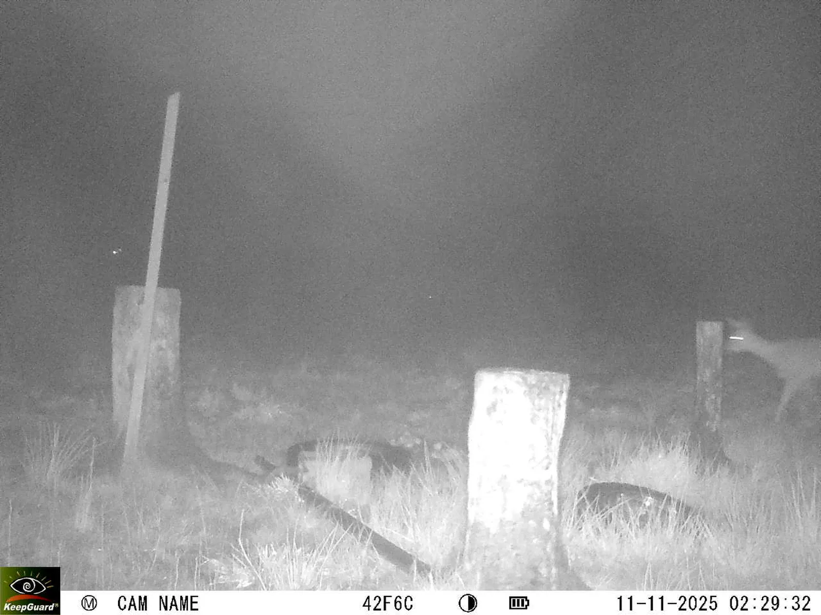 Bild: 1762821018358890438_11110058.webp