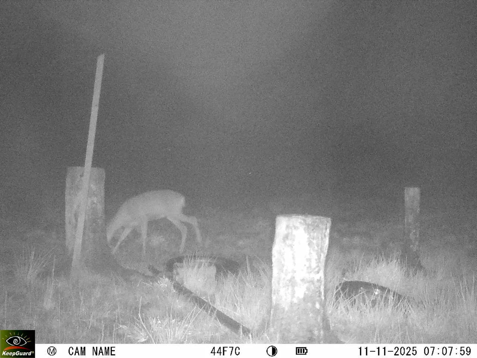 Bild: 1762837725477779054_11110065.webp