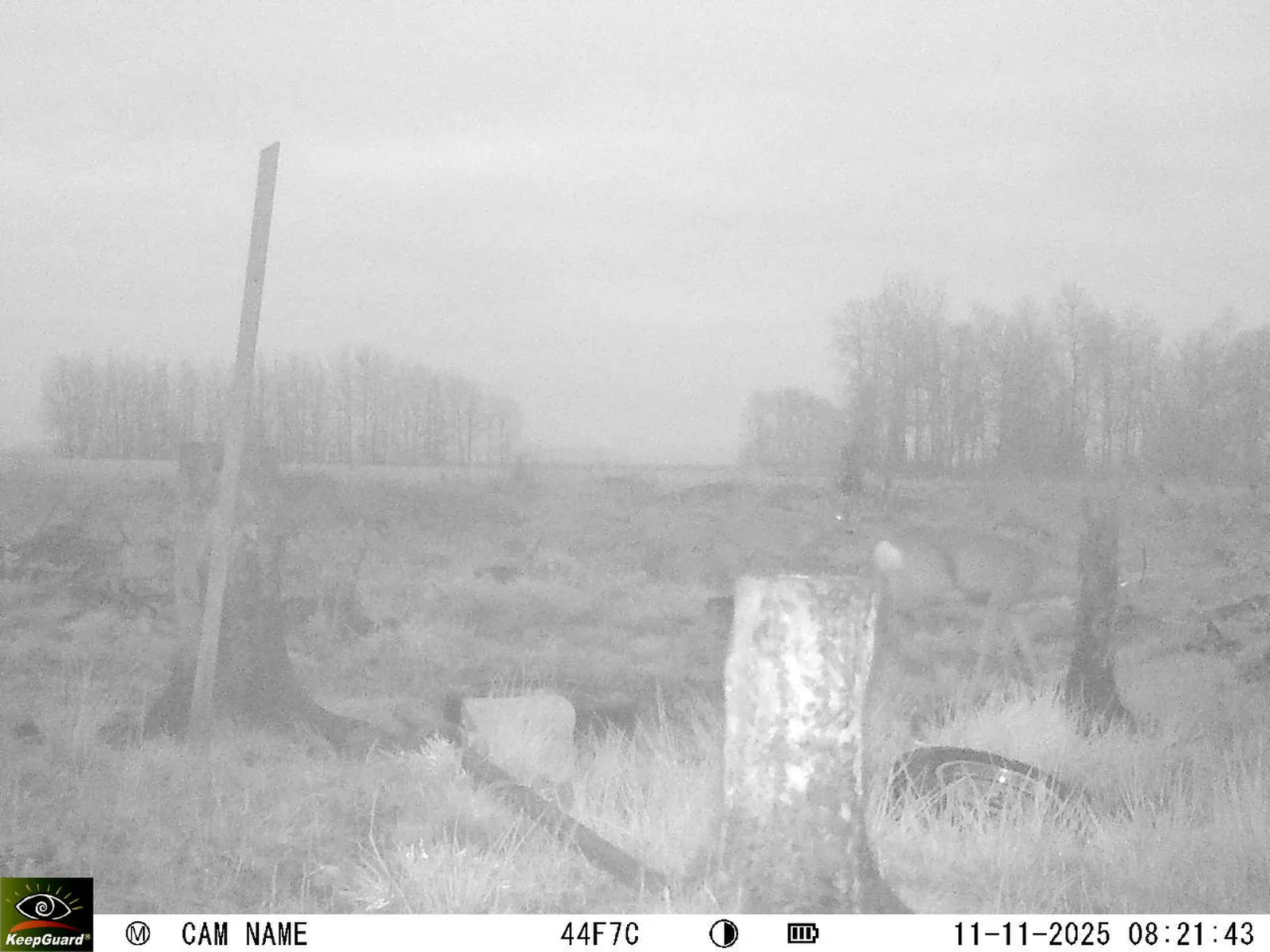 Bild: 1762842149444850661_11110066.webp