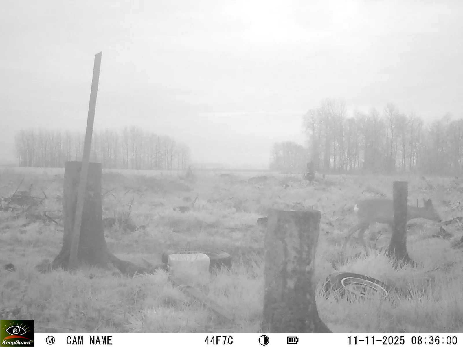 Bild: 1762843005782726726_11110067.webp