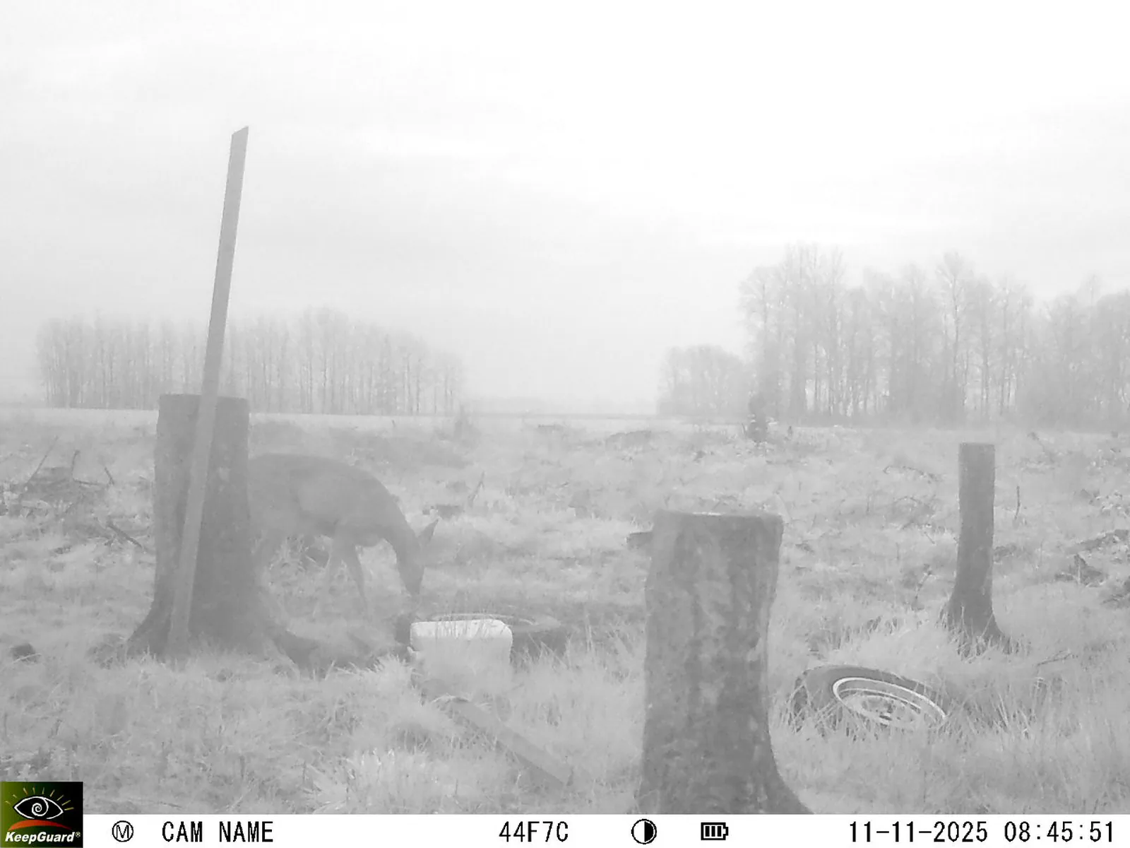 Bild: 1762843597669646219_11110068.webp