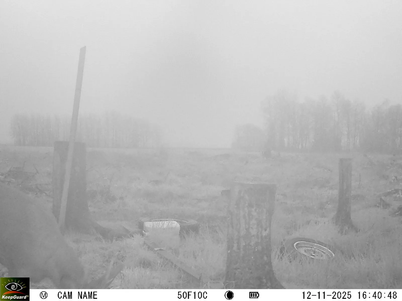 Bild: 1762958499789775001_11120071.webp