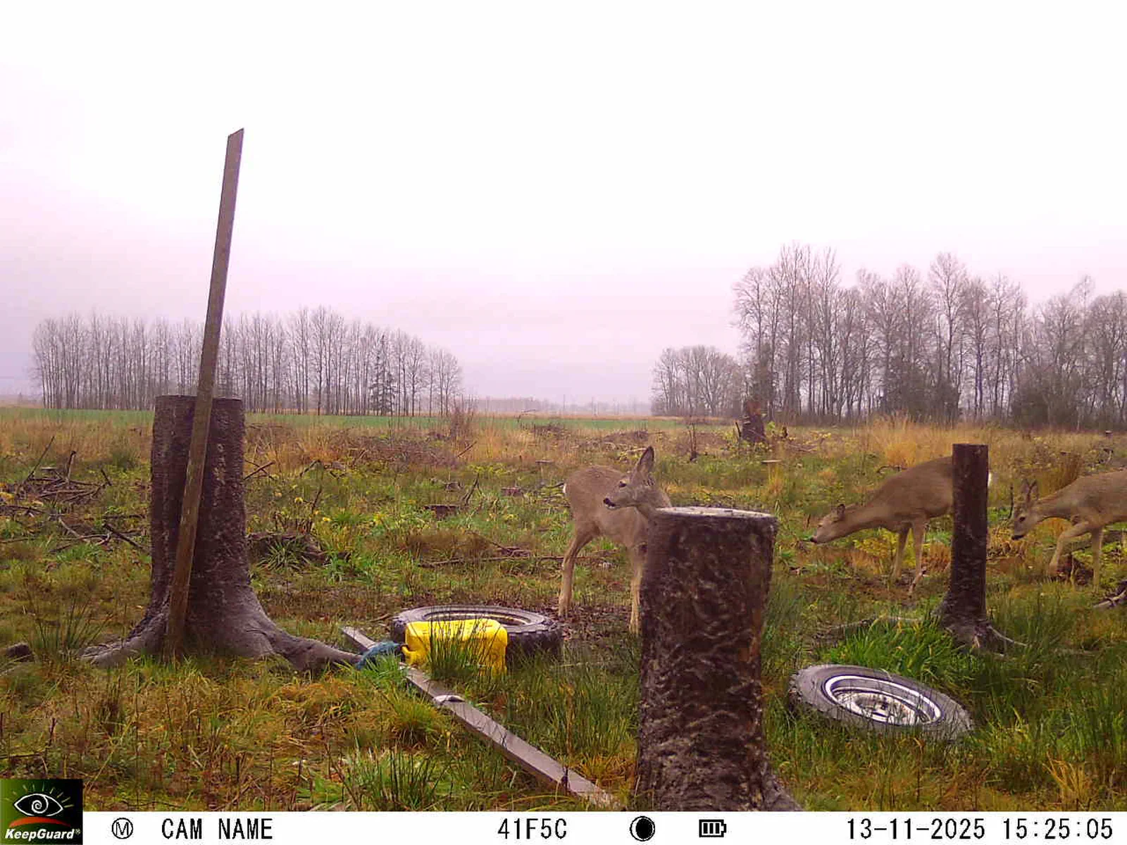 Bild: 1763040352365913727_11130073.webp