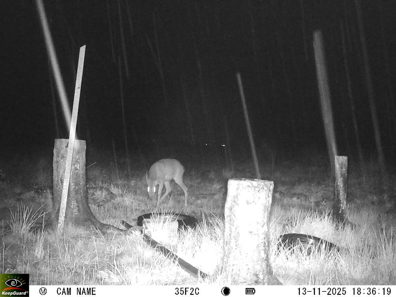 Bild: 1763051908391540501_11130074.webp