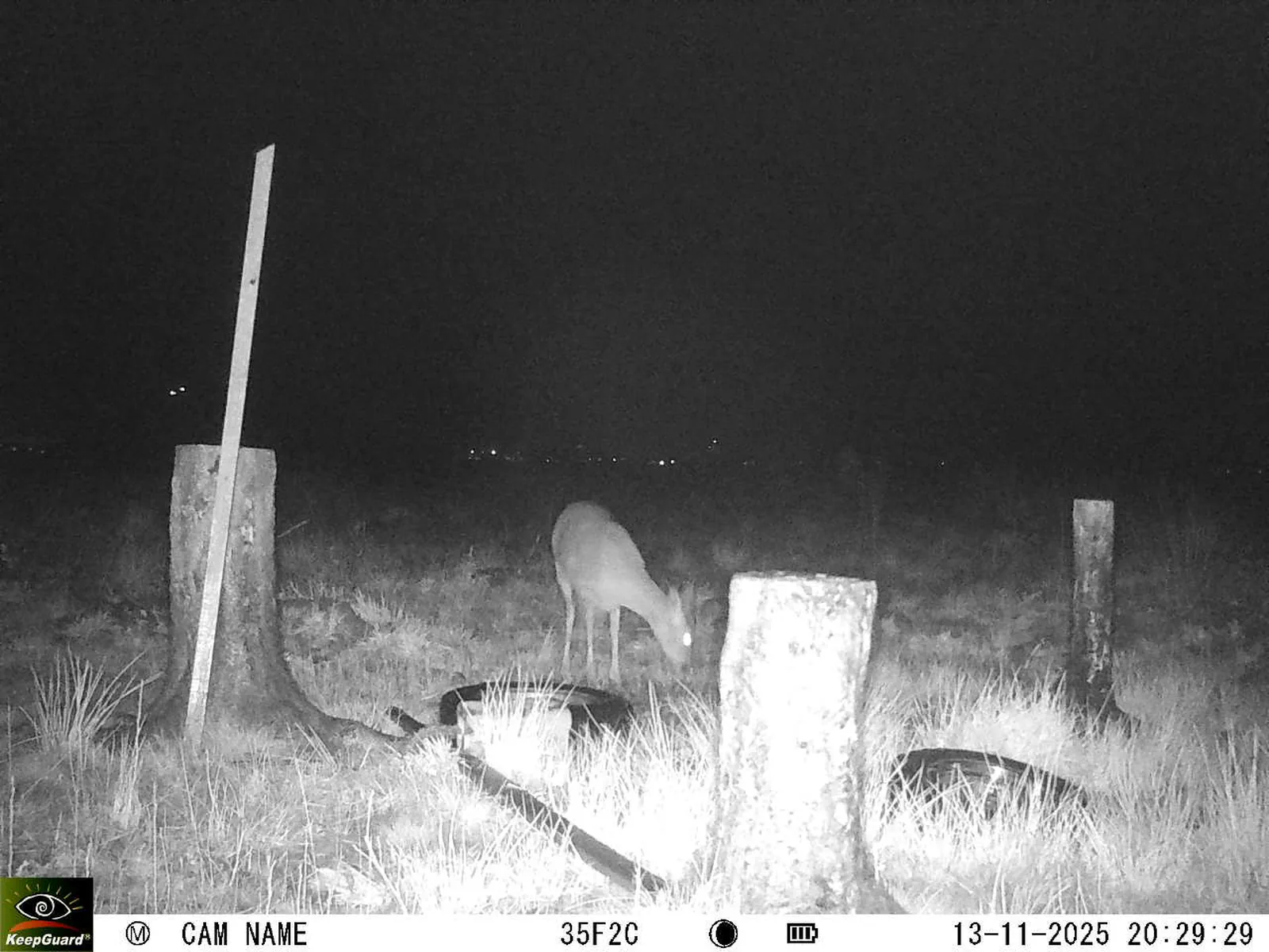 Bild: 1763058618780418545_11130076.webp