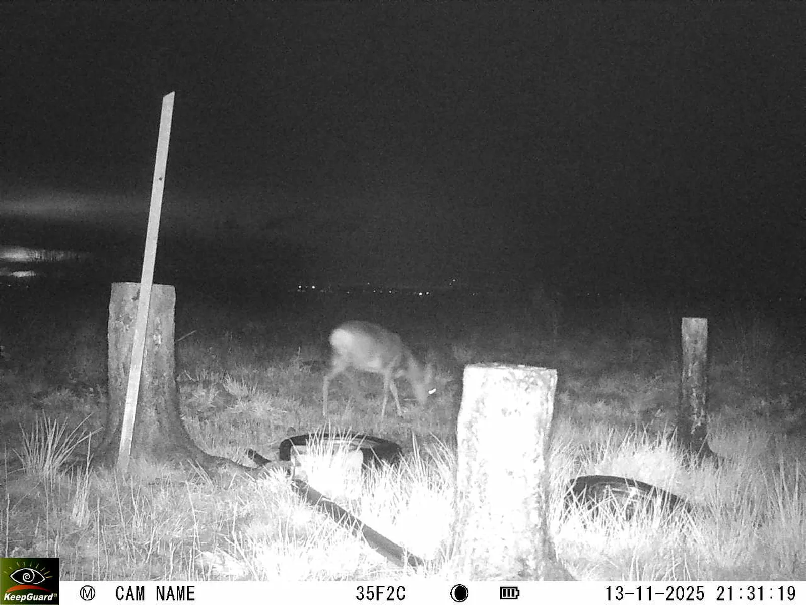 Bild: 1763062326973529580_11130077.webp