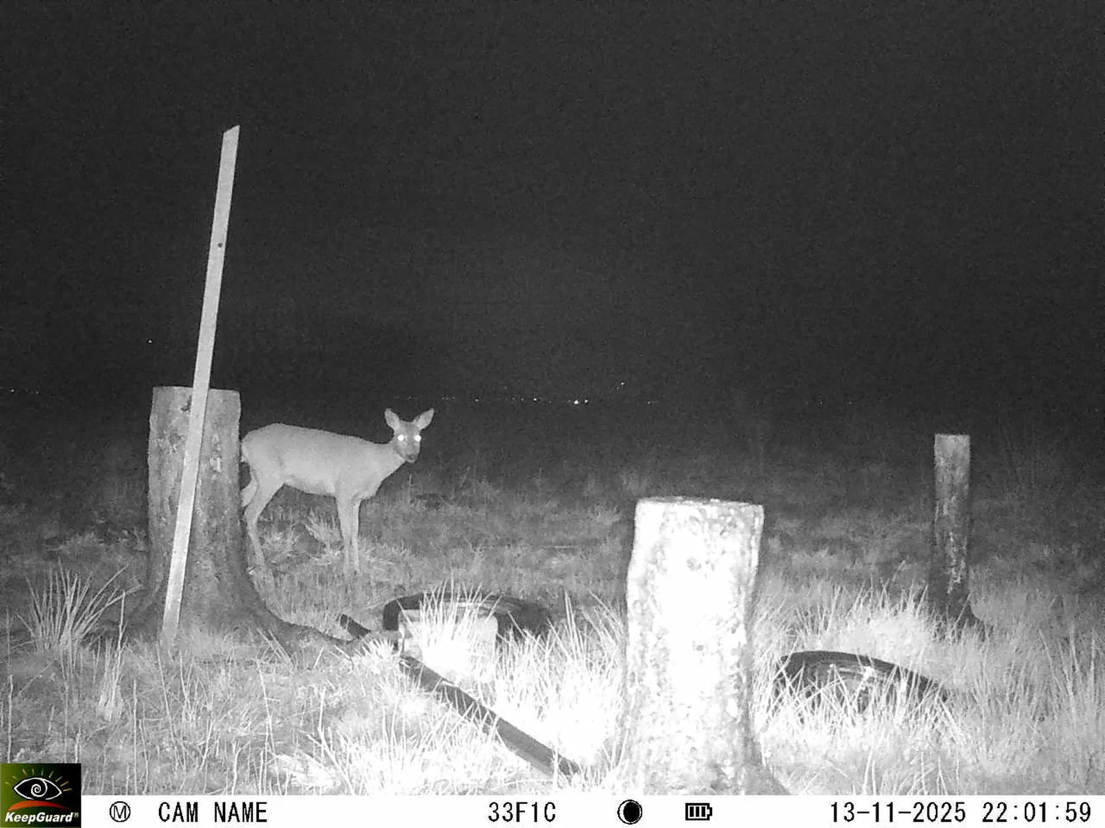 Bild: 1763064165806885504_11130078.webp