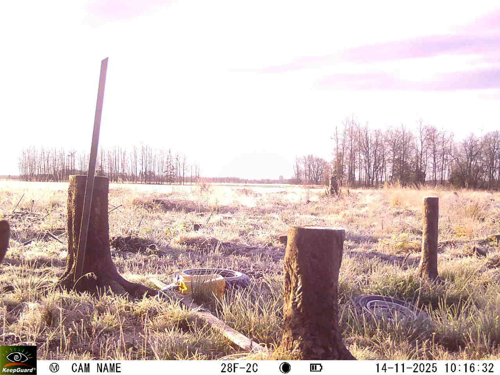 Bild: 1763108242001963661_11140079.webp