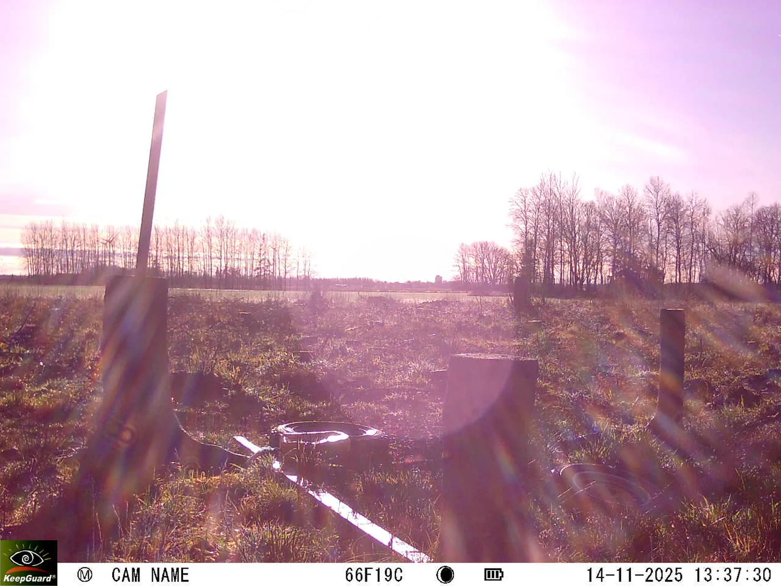 Bild: 1763120299534037954_11140080.webp