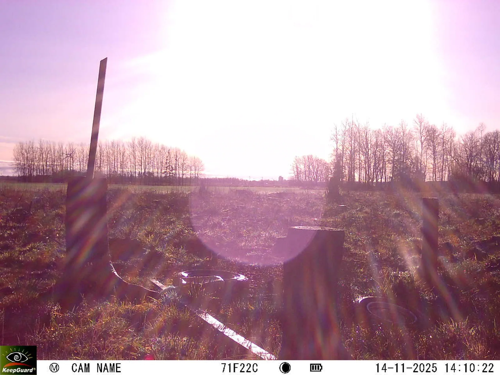 Bild: 1763122270214256566_11140081.webp