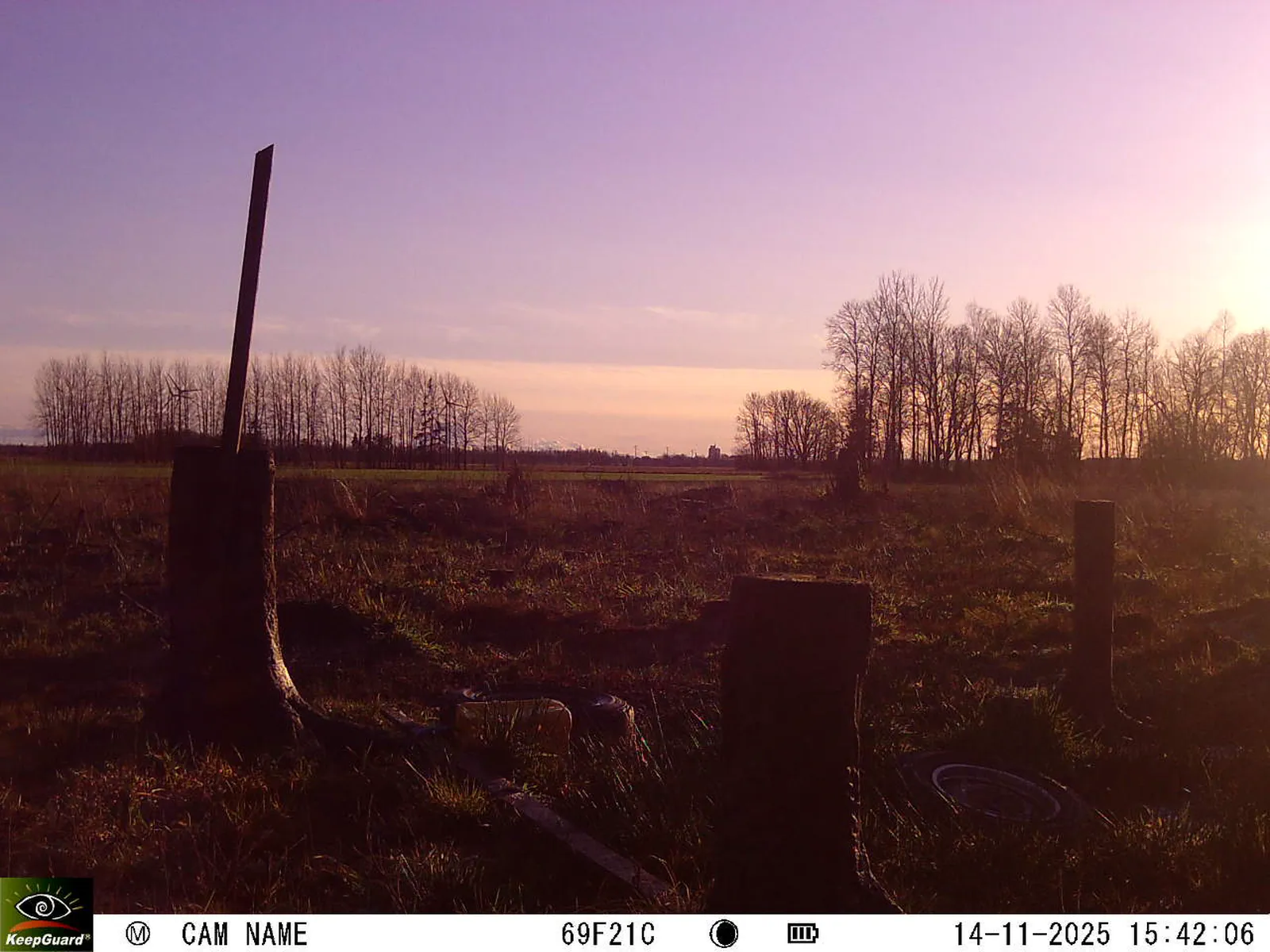 Bild: 1763127774350103679_11140082.webp