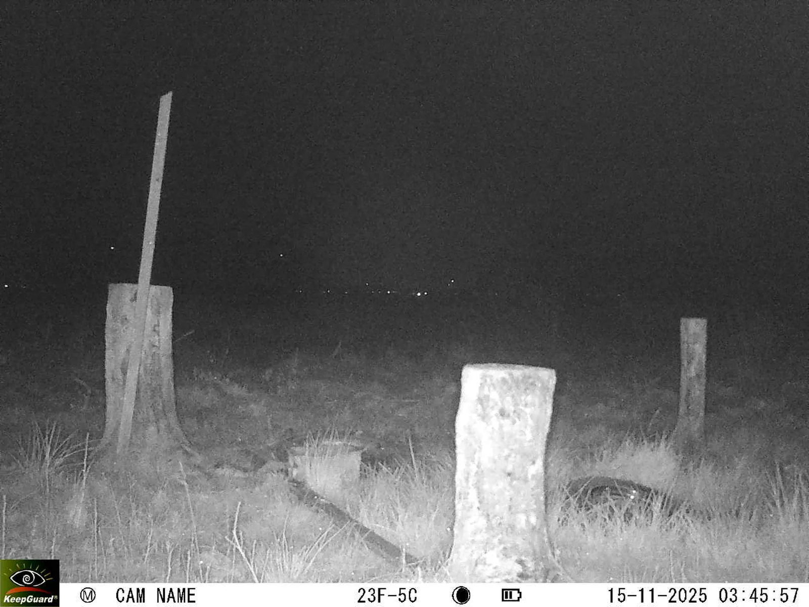 Bild: 1763171207496404463_11150083.webp