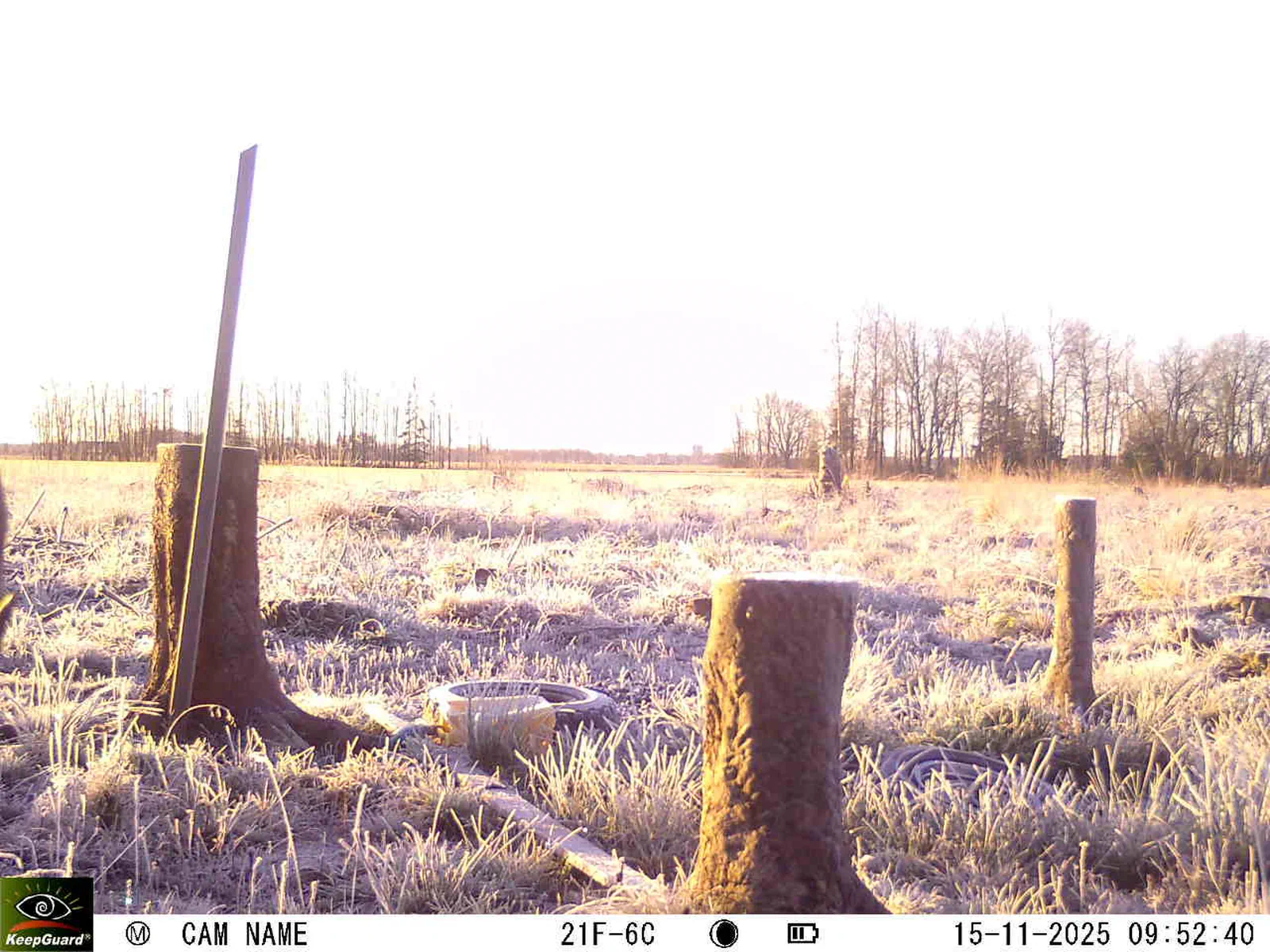 Bild: 1763193212220484156_11150084.webp