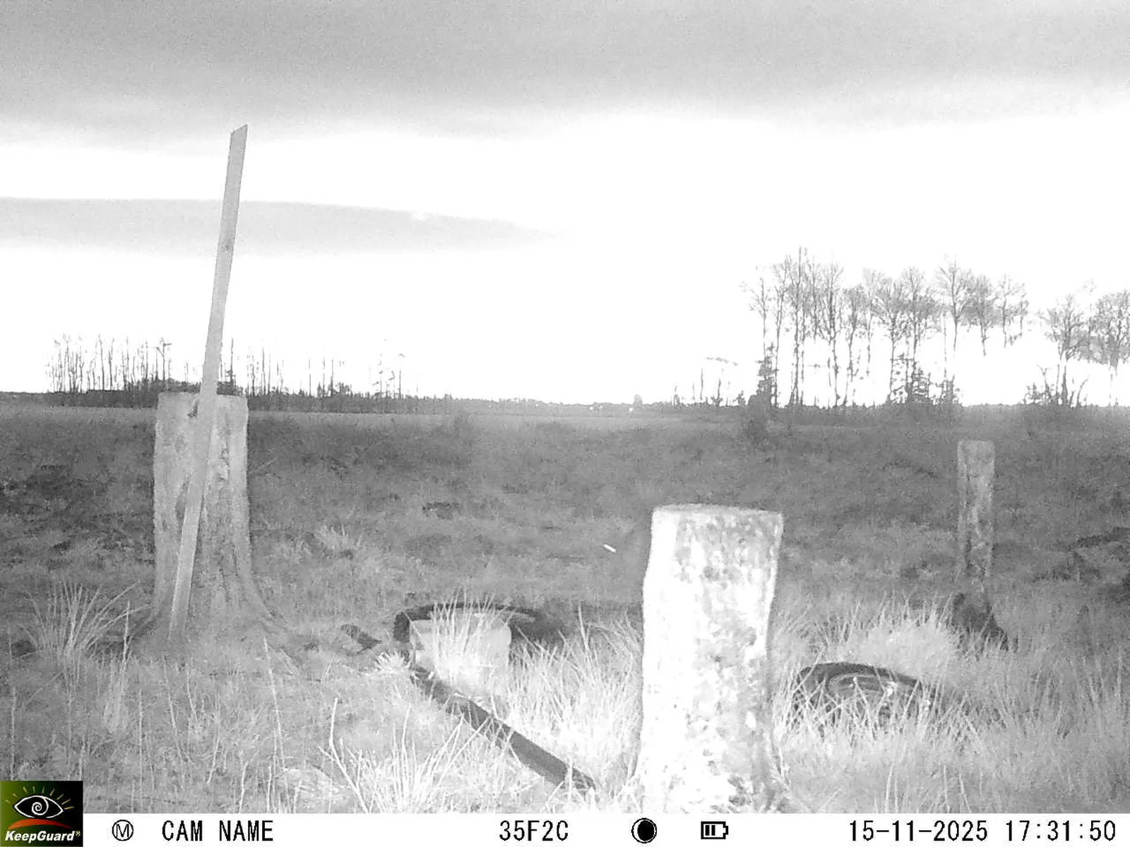 Bild: 1763220761124670165_11150085.webp