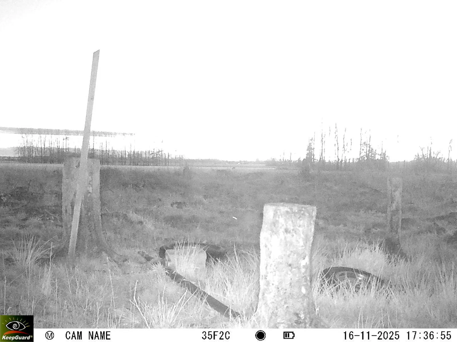 Bild: 1763307467863541097_11160087.webp