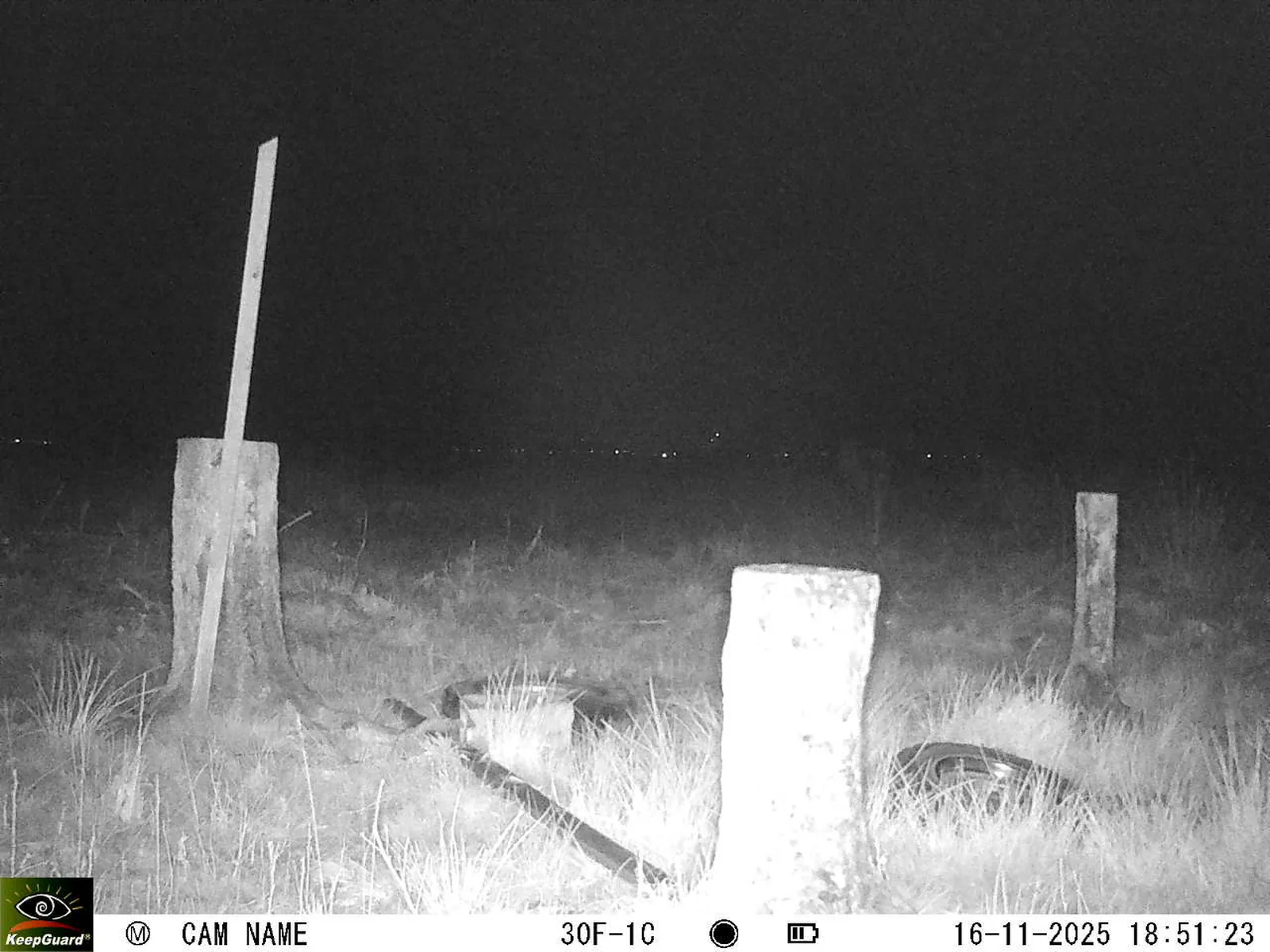 Bild: 1763311935976859583_11160088.webp