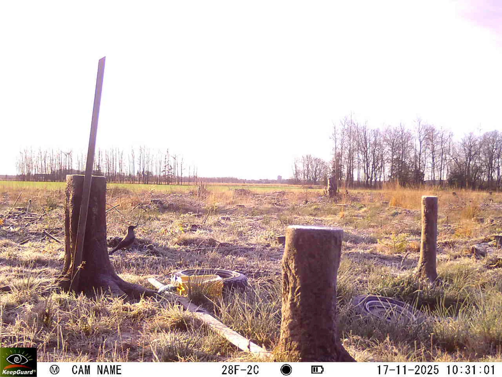 Bild: 1763368317192055009_11170089.webp