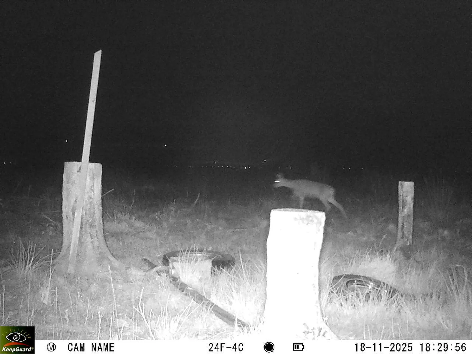 Bild: 1763483453207381204_11180091.webp