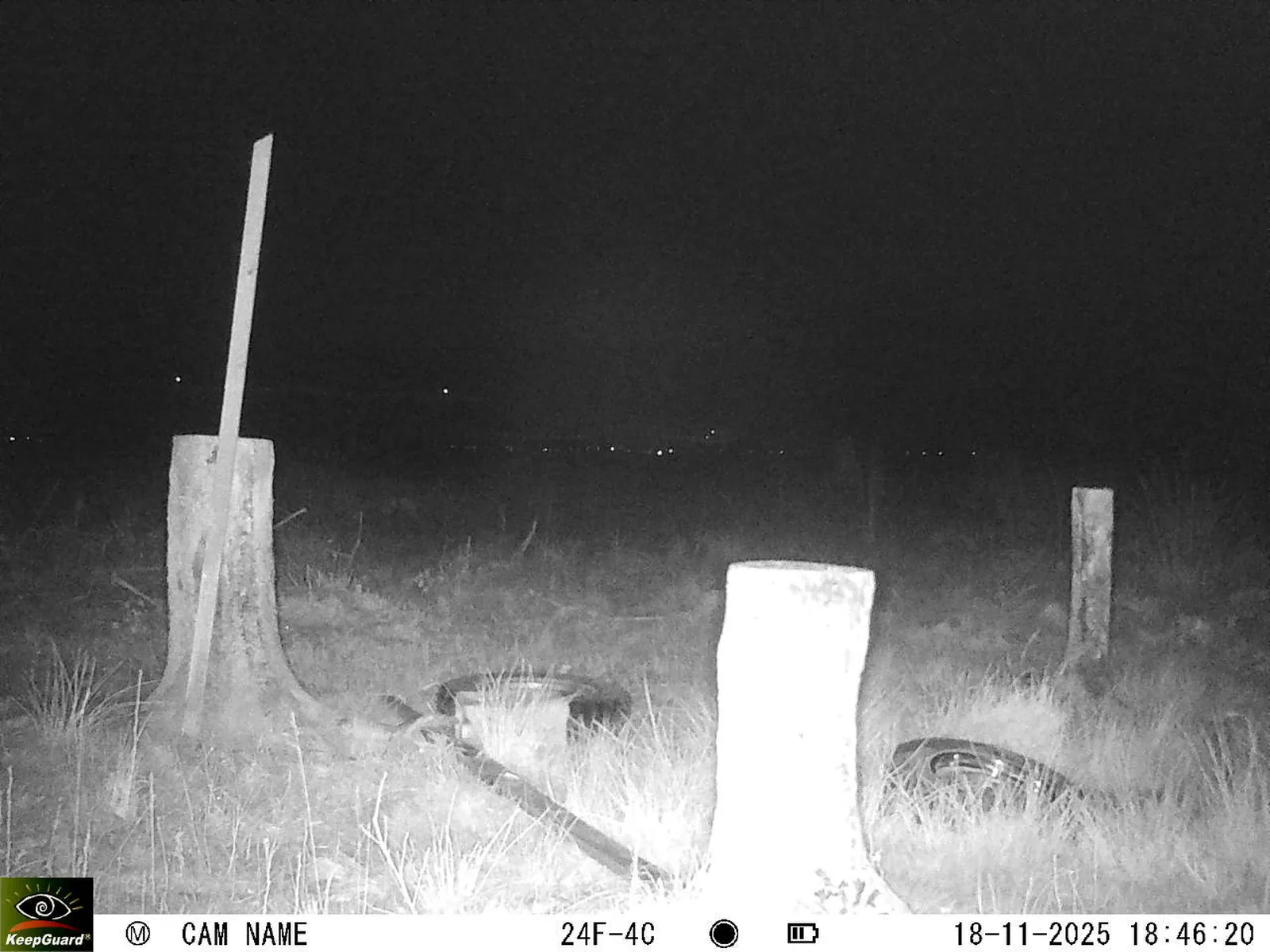 Bild: 1763484435079580540_11180092.webp