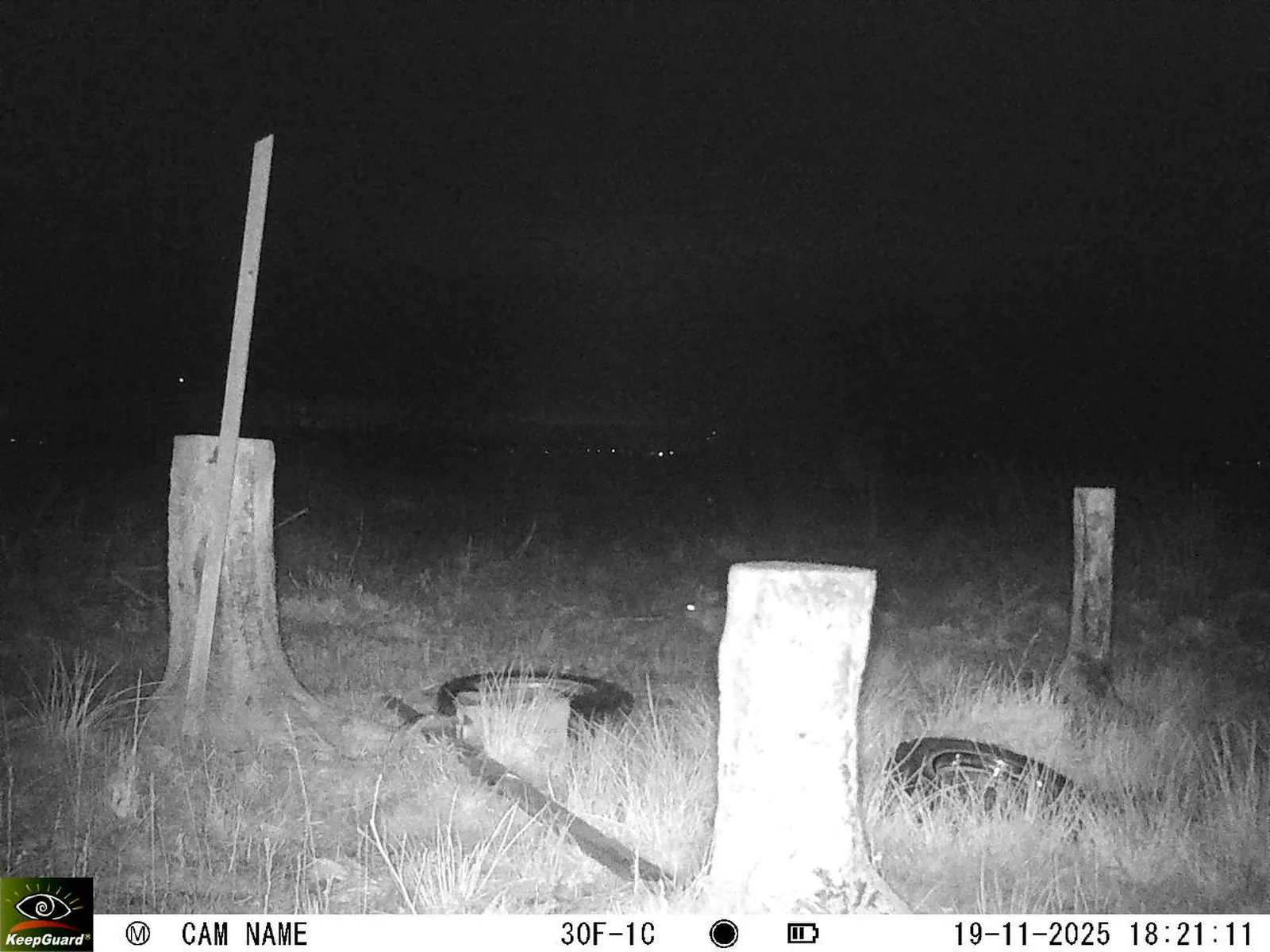 Bild: 1763569332623082745_11190094.webp